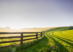 Horse Fencing
