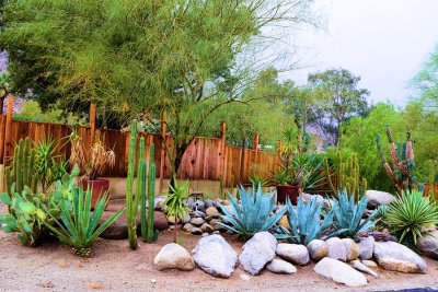 Landscaping Ideas For Better Backyard, Privacy Landscaping Ideas Florida