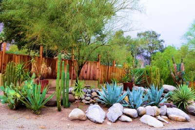 Plant fence