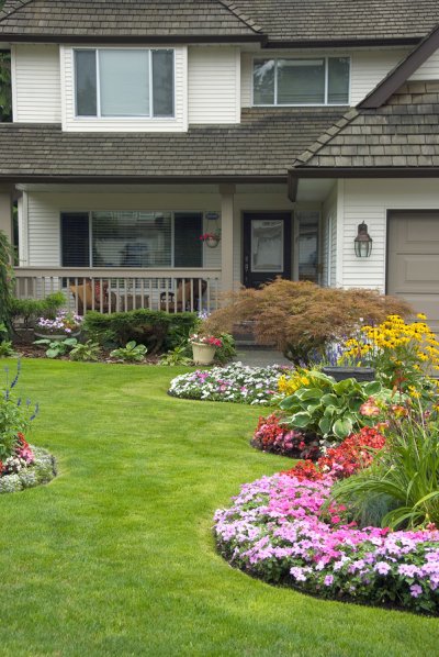 Beautiful front yard