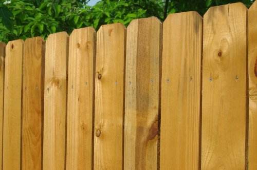 Wood Fence