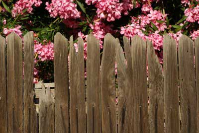 Wood fence