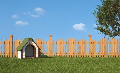 Dog house in backyard