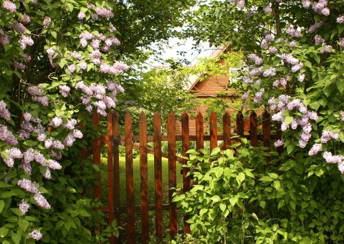 garden fence