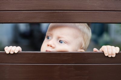 Children looking through fence