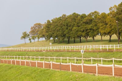 Safe & Beautiful Horse Fencing